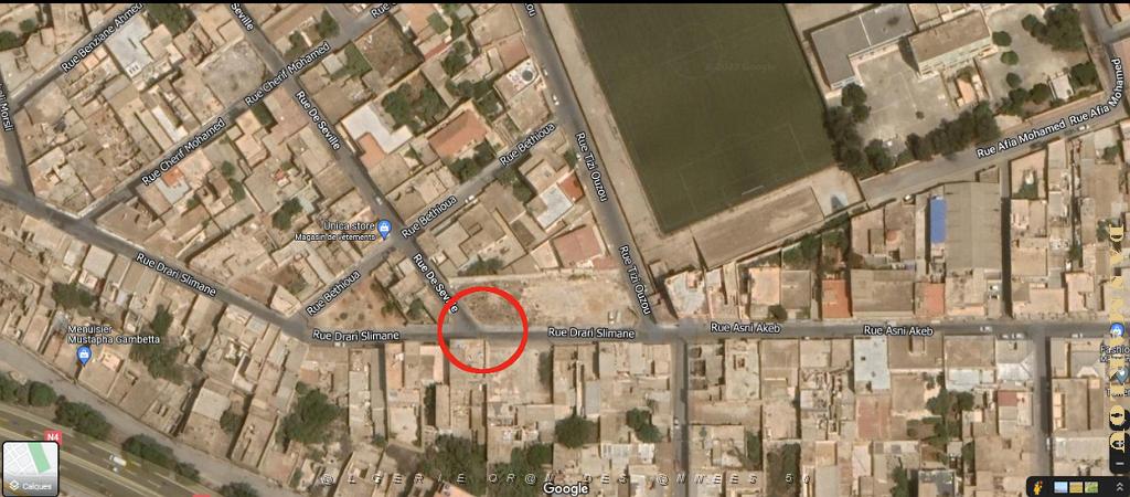 LES RUES DE MA JEUNESSE A ORAN2.jpg